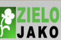 ZielonaJako - Nowoczesne ogrody Pozna, Grudzidz, Toru i Bydgoszcz